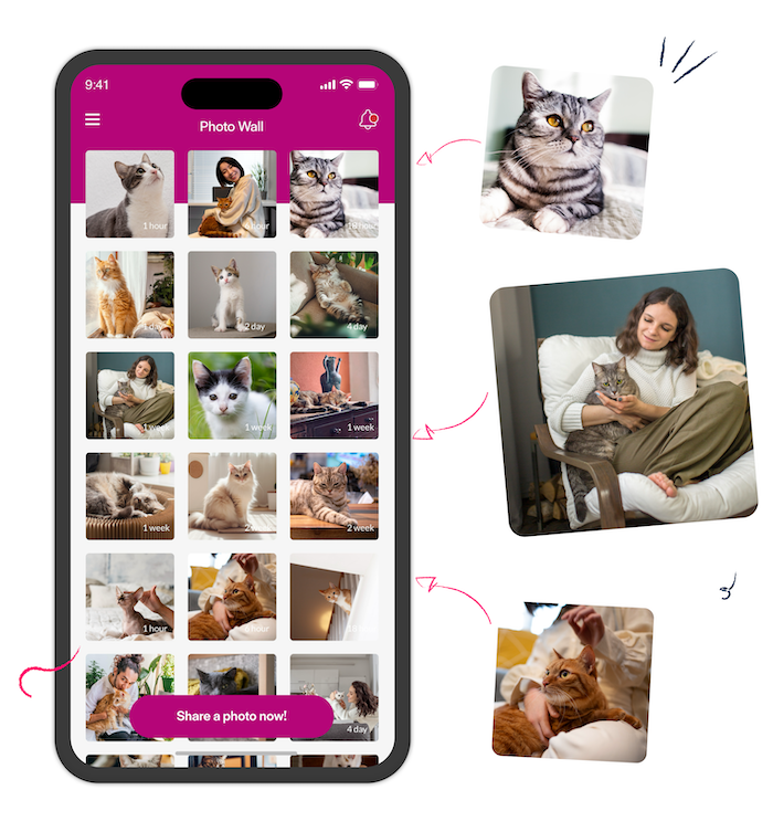 UGC cats