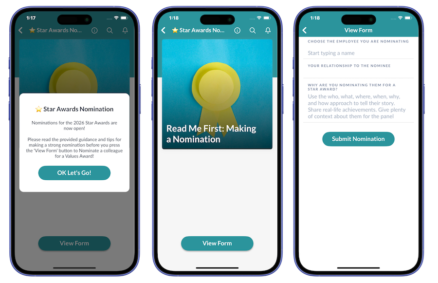 nomination form example